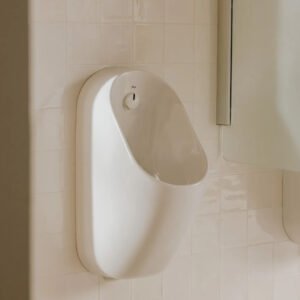 背進水